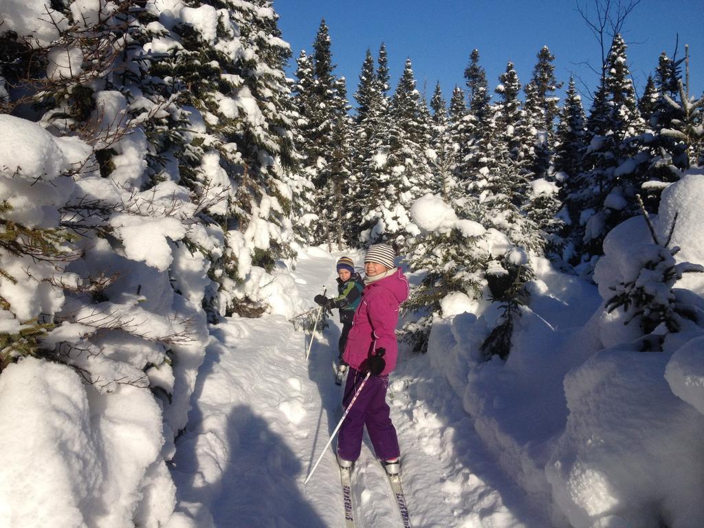 Chalets Du Bout Du Monde Gaspe Luaran gambar